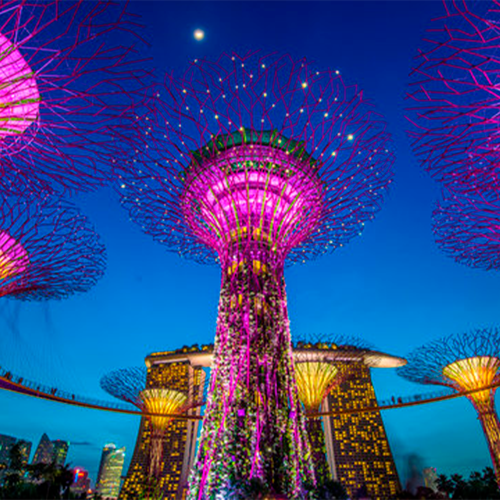 Tour In Singapore