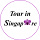 Tour In Singapore - Logo